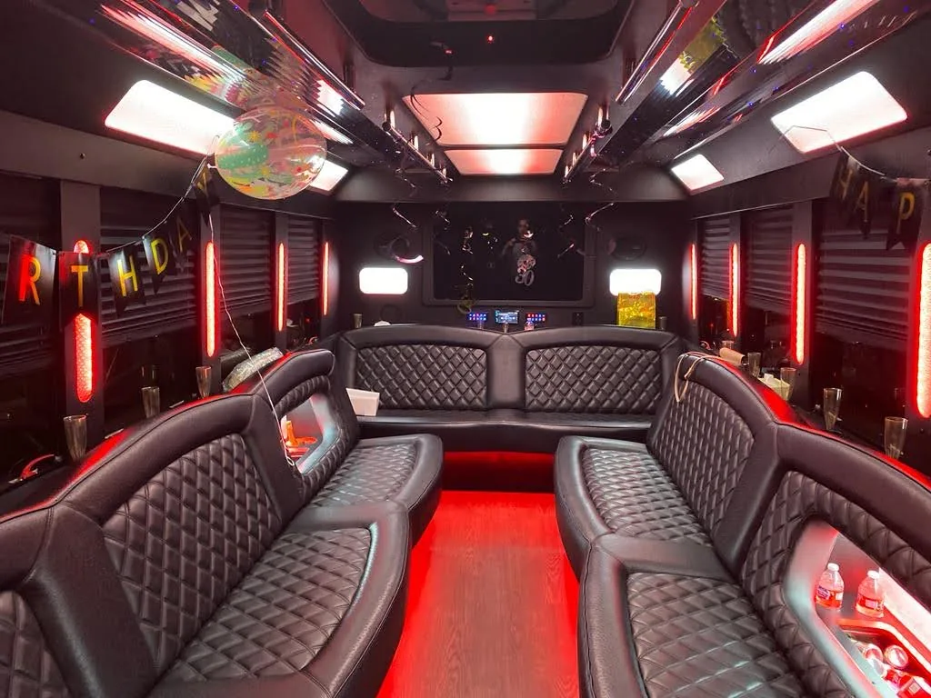 20-passenger party bus with LED lighting in Chicago